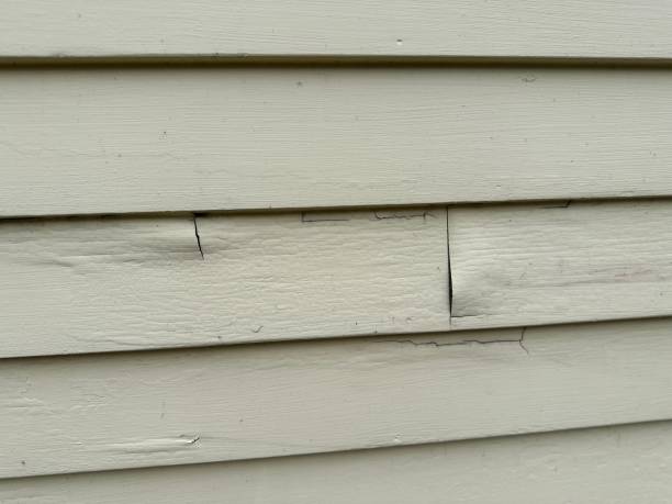 Best Siding for New Construction  in Green Tree, PA